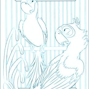 Раскраска попугаи