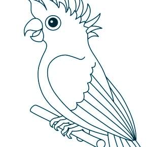 Раскраска попугаи