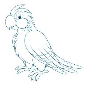 Раскраска попугаи
