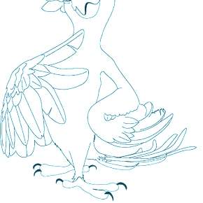 Раскраска попугаи