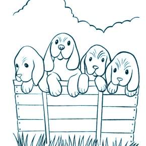 Раскраска Собаки