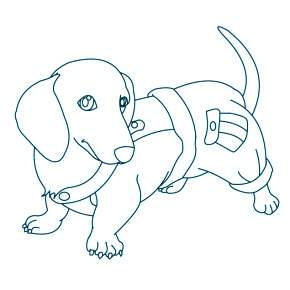 Раскраска Собаки