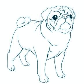 Раскраска Собаки