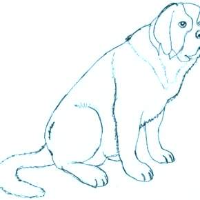 Раскраска Собаки