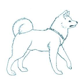 Раскраска Собаки