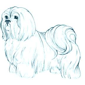 Раскраска Собаки