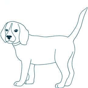 Раскраска Собаки