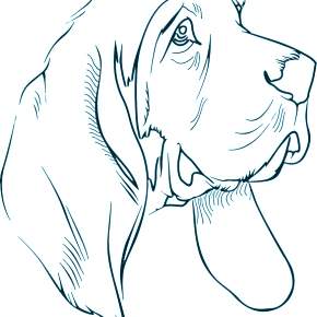 Раскраска Собаки