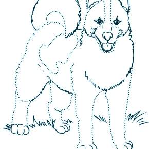 Раскраска Собаки