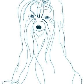 Раскраска Собаки