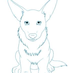 Раскраска Собаки