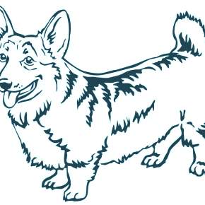 Раскраска Собаки