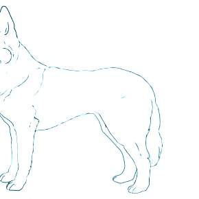 Раскраска Собаки