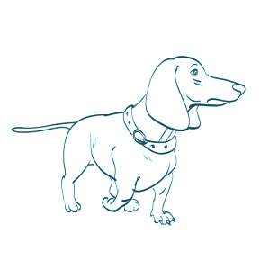 Раскраска Собаки