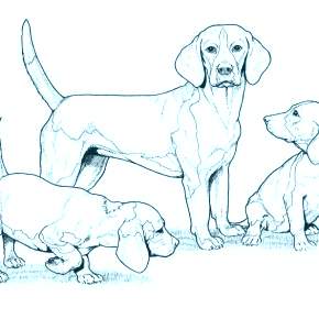 Раскраска Собаки