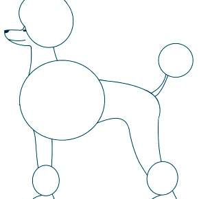 Раскраска Собаки