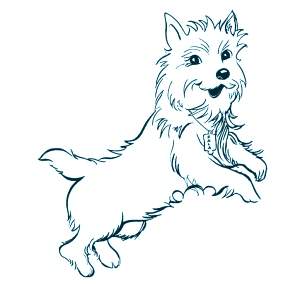 Раскраска Собаки