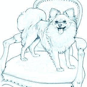 Раскраска Собаки