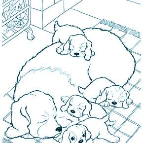 Раскраска Собаки