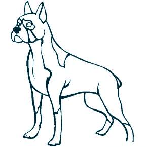 Раскраска Собаки