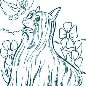 Раскраска Собаки