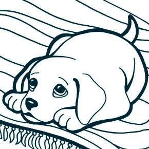 Раскраска Собаки