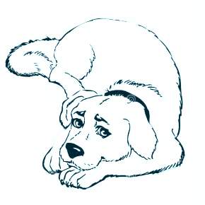 Раскраска Собаки