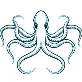 Раскраска Осьминога