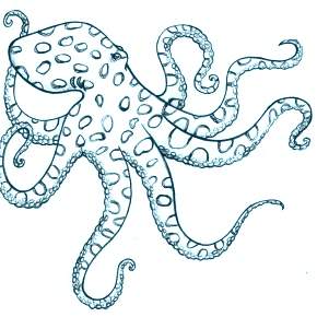 Раскраска Осьминога