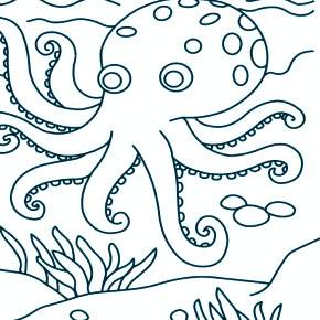 Раскраска Осьминога