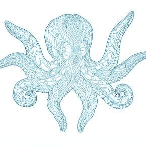 Раскраска Осьминога