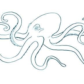 Раскраска Осьминога