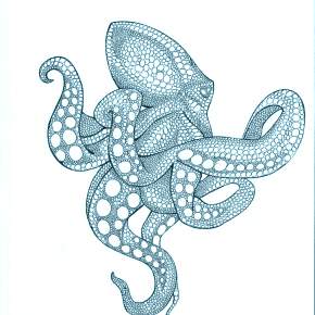 Раскраска Осьминога