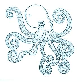 Раскраска Осьминога