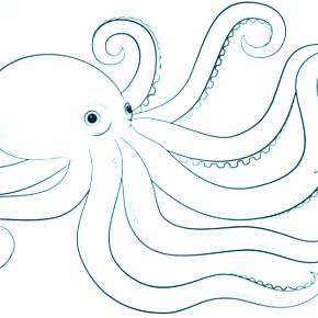 Раскраска Осьминога