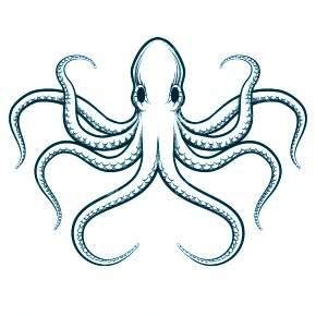 Раскраска Осьминога
