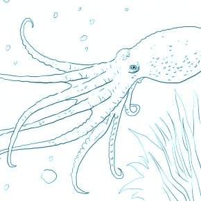 Раскраска Осьминога