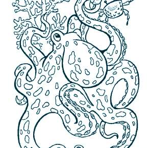 Раскраска Осьминога