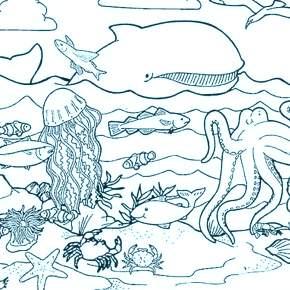 Раскраска Осьминога