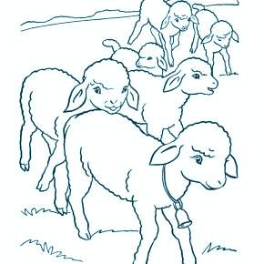 Раскраска Овечка Раскраска Овечка