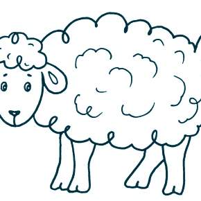 Раскраска Овечка Раскраска Овечка