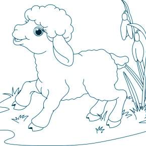 Раскраска Овечка Раскраска Овечка