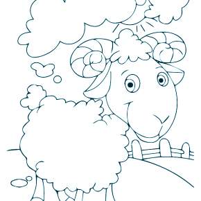 Раскраска Овечка Раскраска Овечка