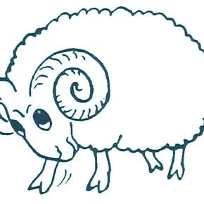 Раскраска Овечка Раскраска Овечка