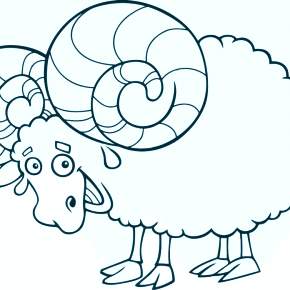 Раскраска Овечка Раскраска Овечка