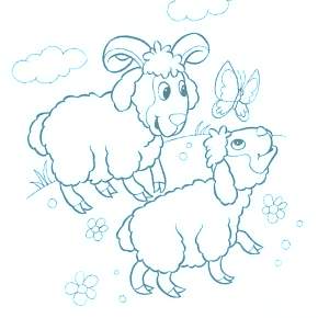 Раскраска Овечка Раскраска Овечка