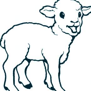 Раскраска Овечка Раскраска Овечка