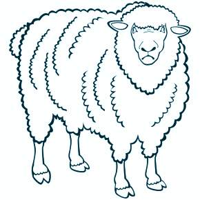 Раскраска Овечка Раскраска Овечка