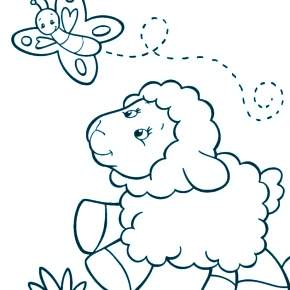 Раскраска Овечка Раскраска Овечка