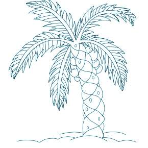 Раскраска Пальма